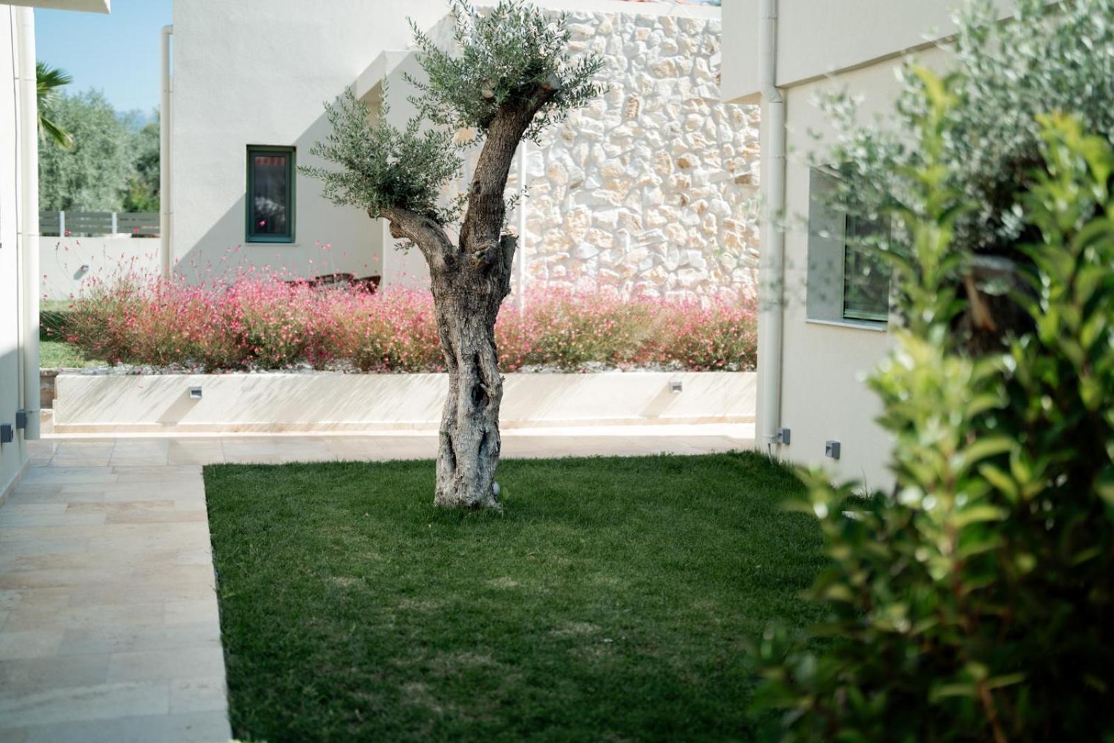 Magnolia Villas Potos Thassos Bagian luar foto