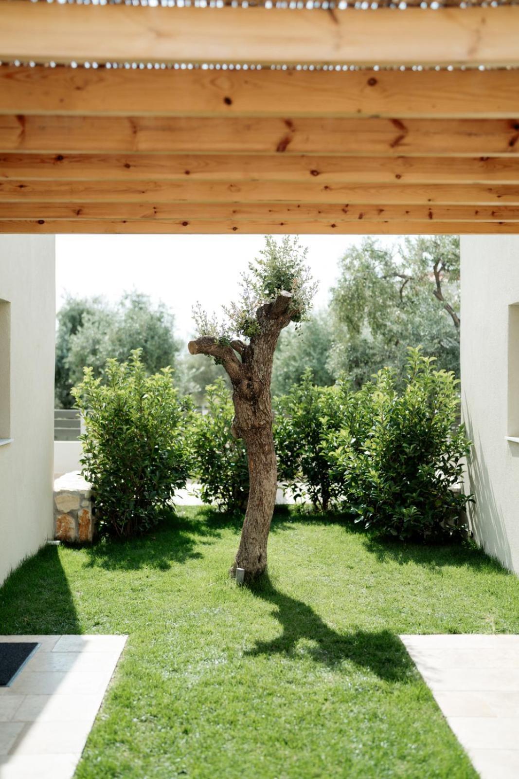 Magnolia Villas Potos Thassos Bagian luar foto